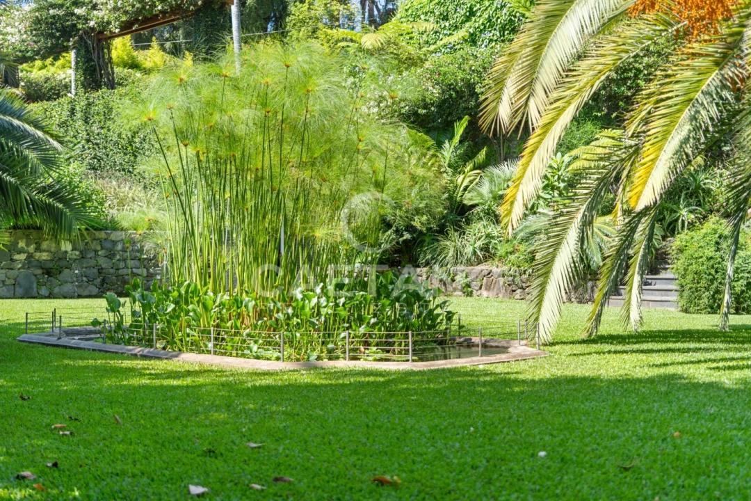 Quinta T8 para Venda em Funchal (Santa Luzia) Foto 44
