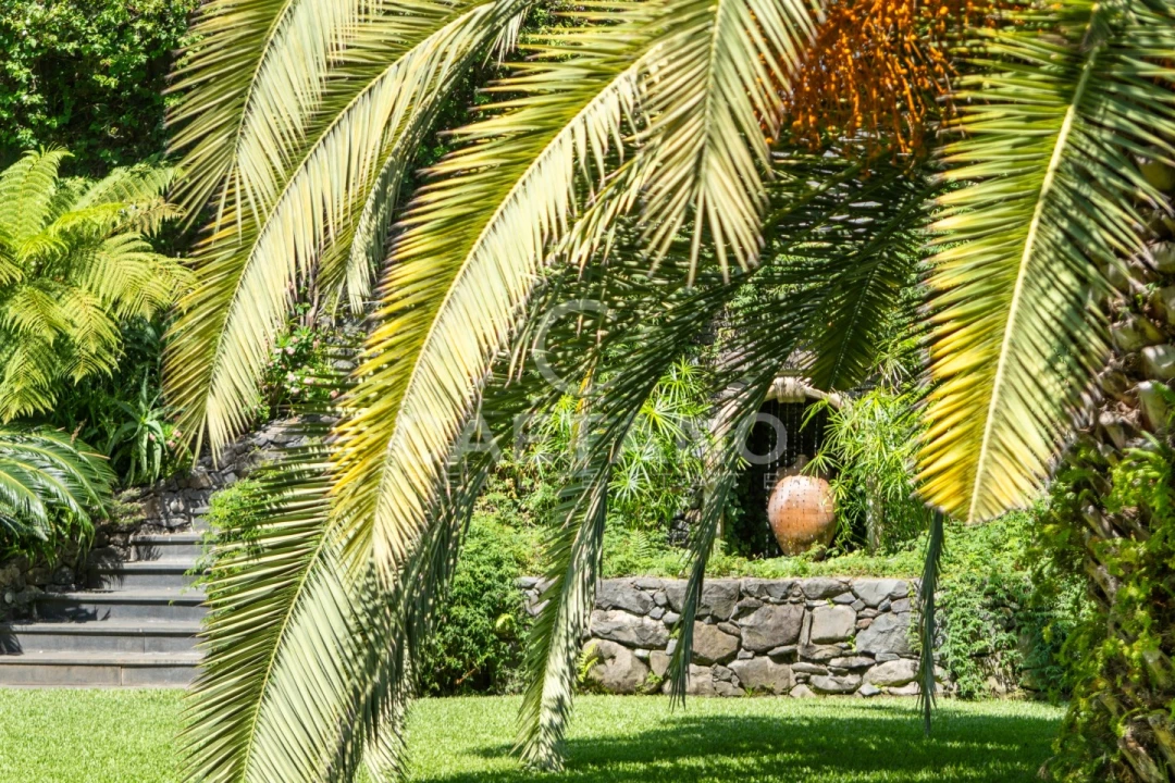 Quinta T8 para Venda em Funchal (Santa Luzia) Foto 45