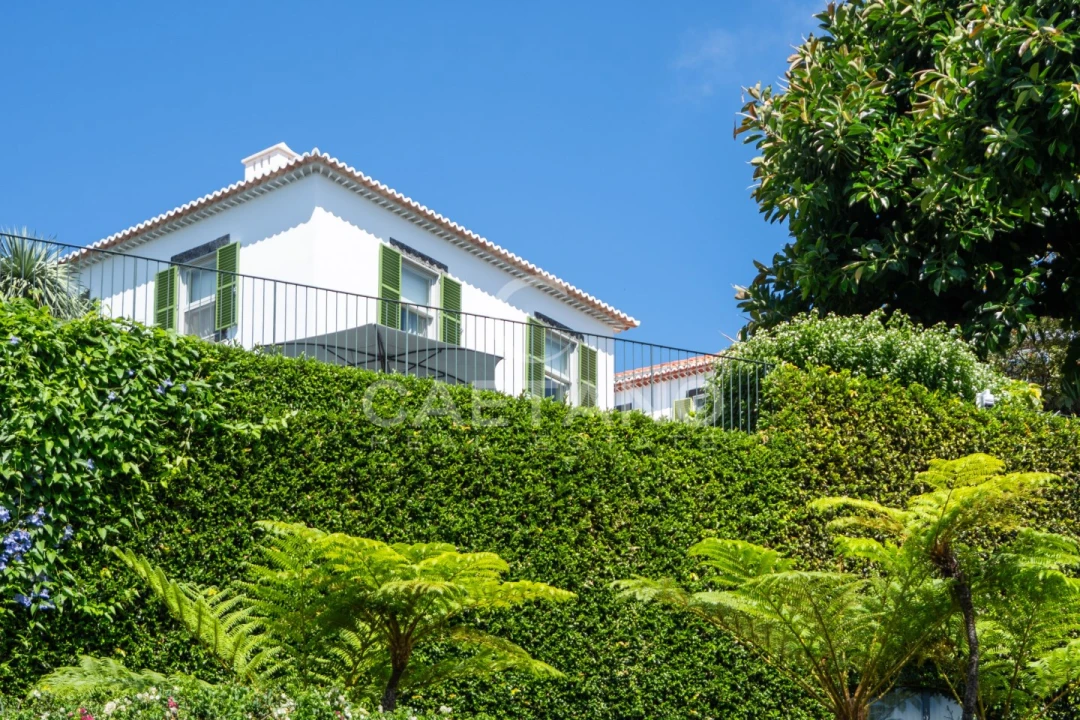 Quinta T8 para Venda em Funchal (Santa Luzia) Foto 46