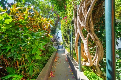 Quinta T8 para Venda em Funchal (Santa Luzia)