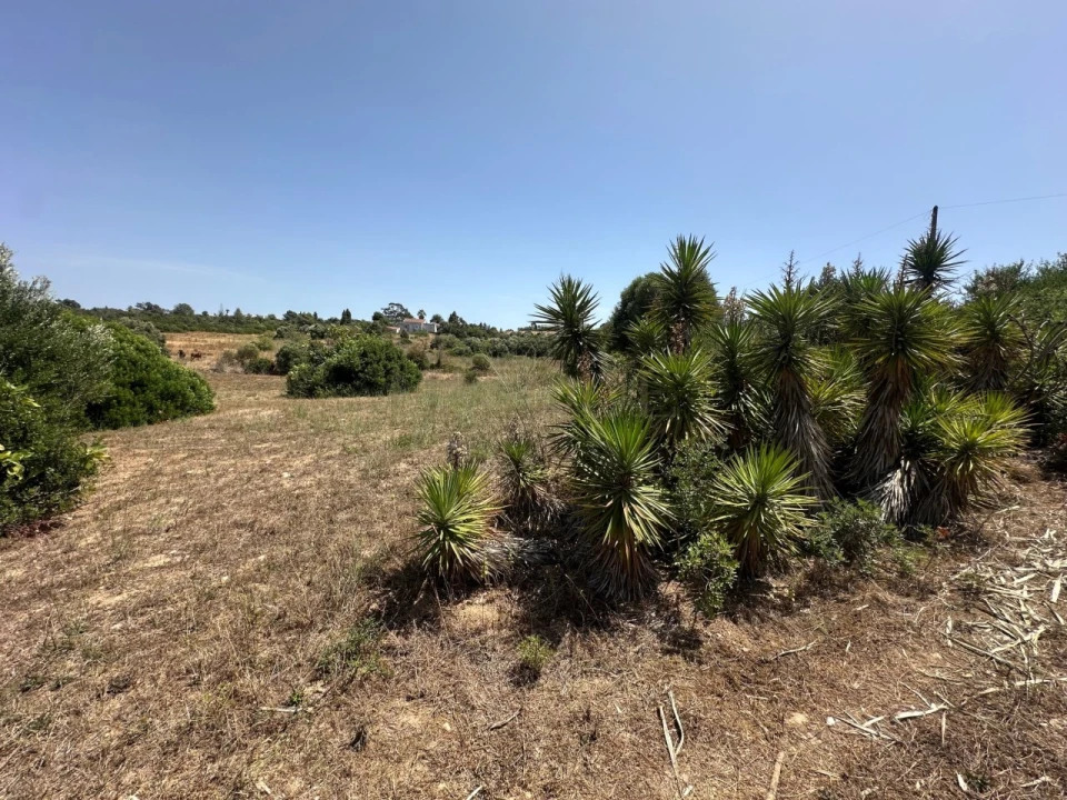 Terreno para Venda em Lagos (São Sebastião e Santa Maria) Foto 3