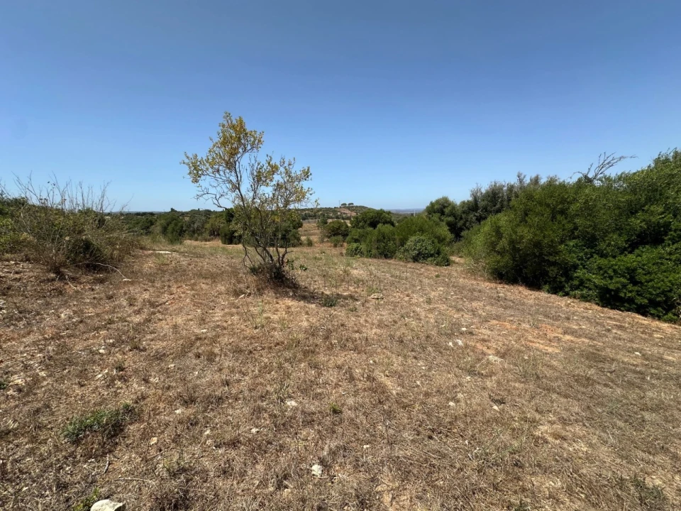 Terreno para Venda em Lagos (São Sebastião e Santa Maria) Foto 4