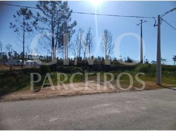 Terreno para Venda em Albergaria-A-Velha e Valmaior
