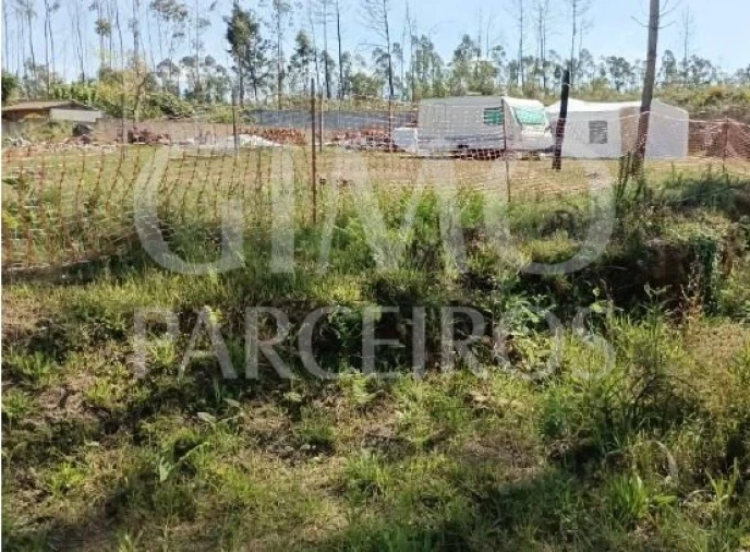 Terreno para Venda em Albergaria-A-Velha e Valmaior Foto 4