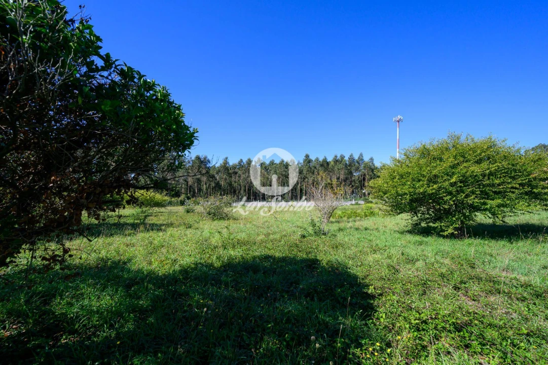 Quinta T4 para Venda em Rio Meão Foto 25