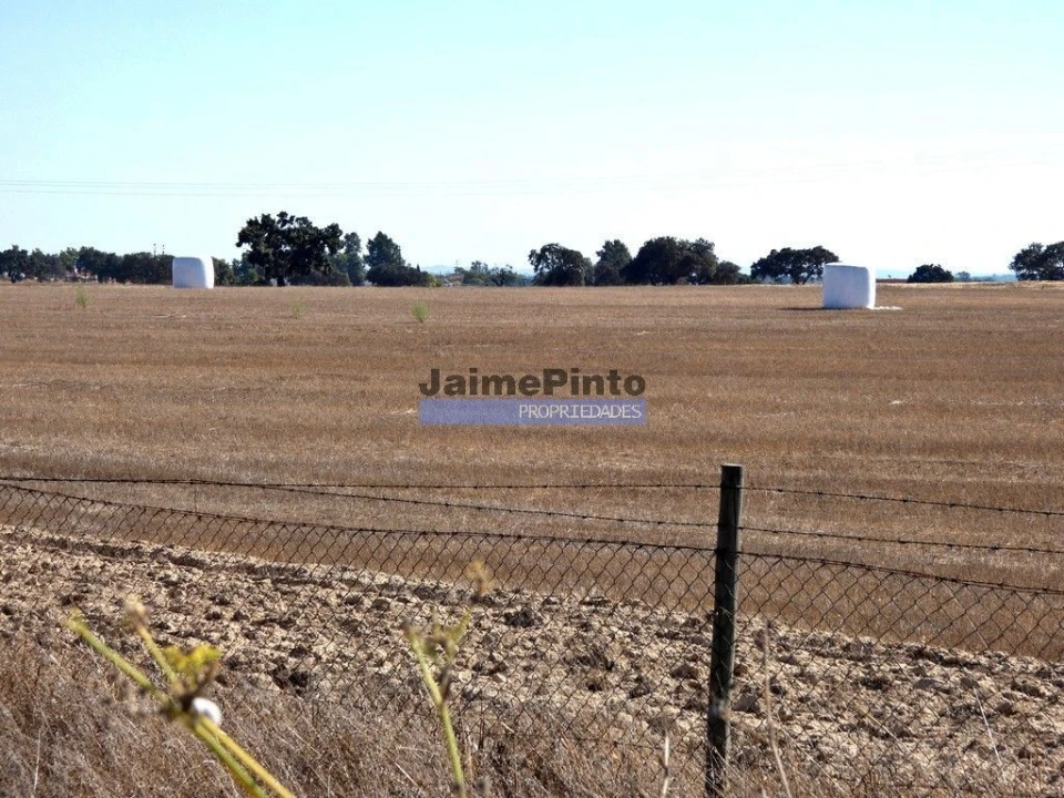 Terreno Agricola ou Rústico para Venda em Aljustrel e Rio de Moinhos Foto 3