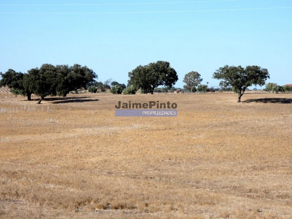Terreno Agricola ou Rústico para Venda em Aljustrel e Rio de Moinhos Foto 5