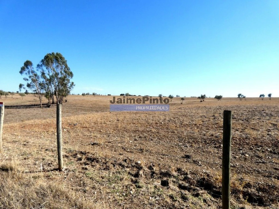 Terreno Agricola ou Rústico para Venda em Aljustrel e Rio de Moinhos Foto 6