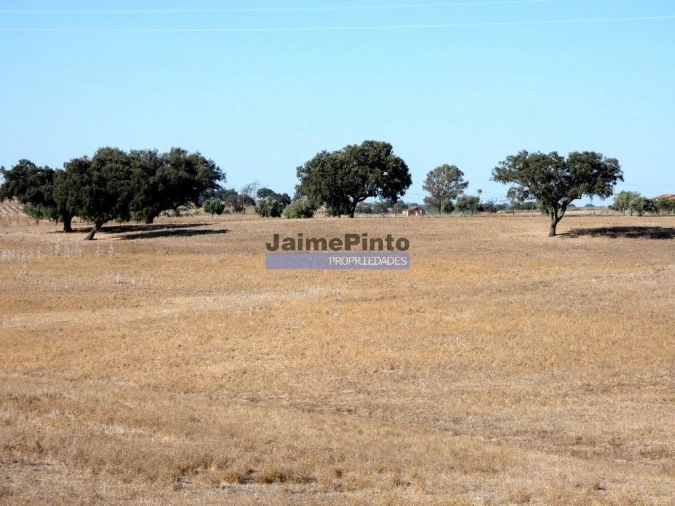 Terreno Agricola ou Rústico para Venda em Aljustrel e Rio de Moinhos Foto 5