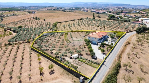 Moradia T3 para Venda em Alfandega da Fe