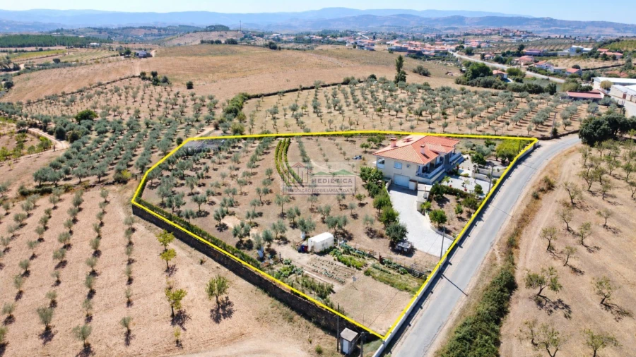 Moradia T3 para Venda em Alfandega da Fe Foto 4