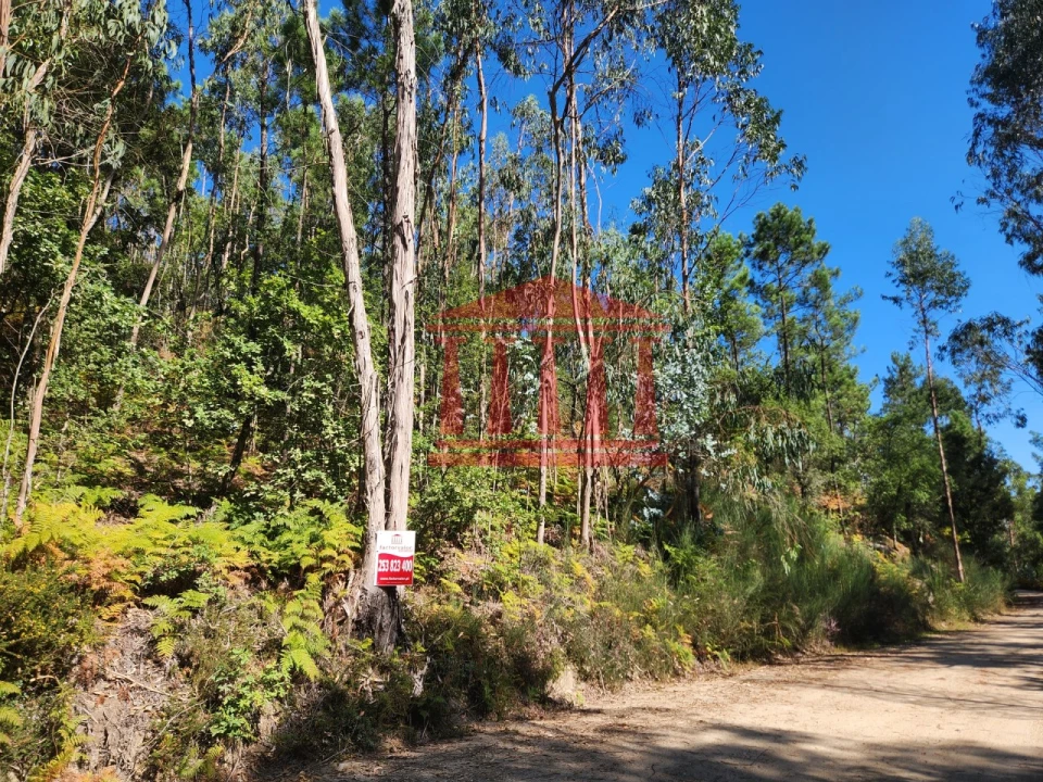 Terreno Agricola ou Rústico para Venda em Oliveira Foto 4