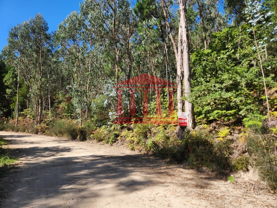 Terreno Agricola ou Rústico para Venda em Oliveira Foto 7