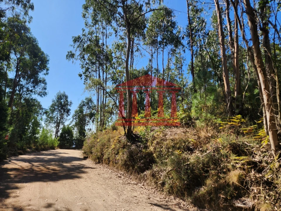 Terreno Agricola ou Rústico para Venda em Oliveira Foto 2