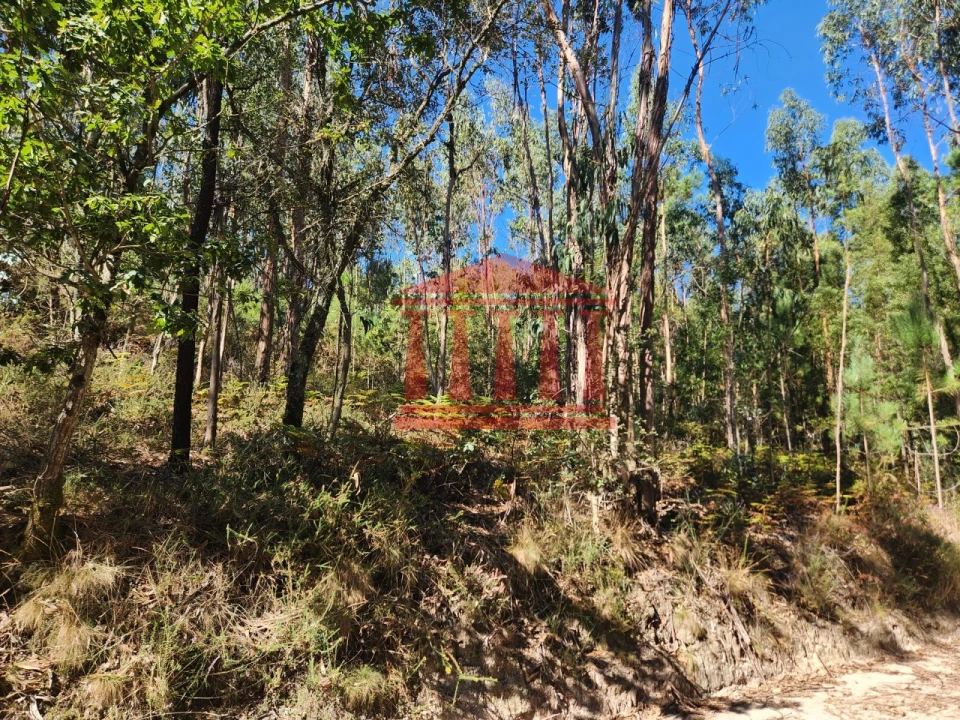 Terreno Agricola ou Rústico para Venda em Oliveira Foto 3