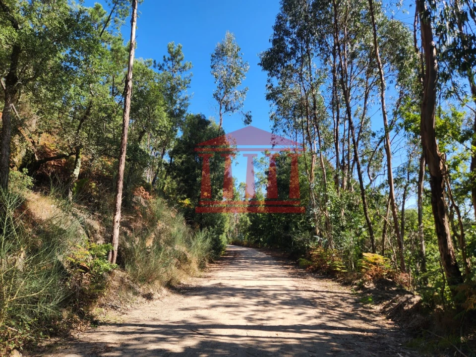 Terreno Agricola ou Rústico para Venda em Oliveira Foto 5