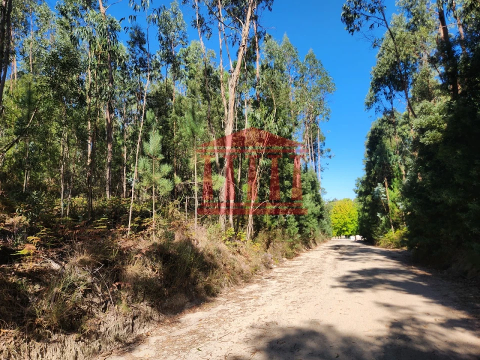 Terreno Agricola ou Rústico para Venda em Oliveira Foto 6