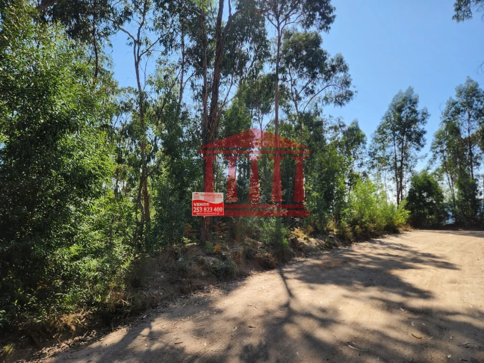 Terreno Agricola ou Rústico para Venda em Oliveira Foto 1