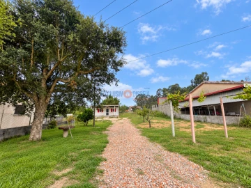 Terreno para Venda em Recardães e Espinhel