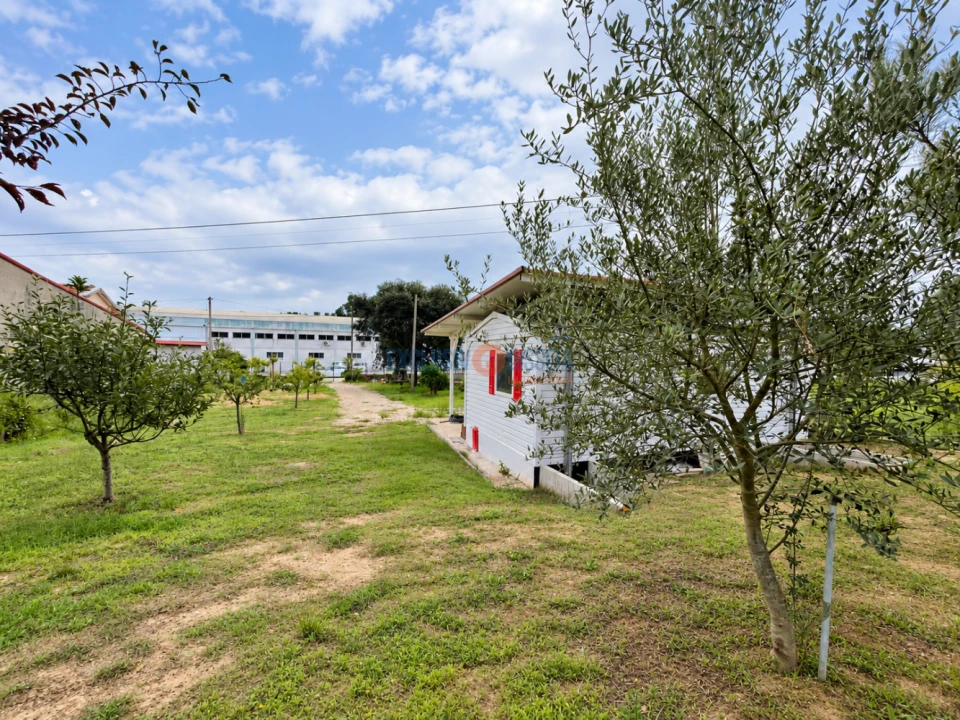 Terreno para Venda em Recardães e Espinhel Foto 1