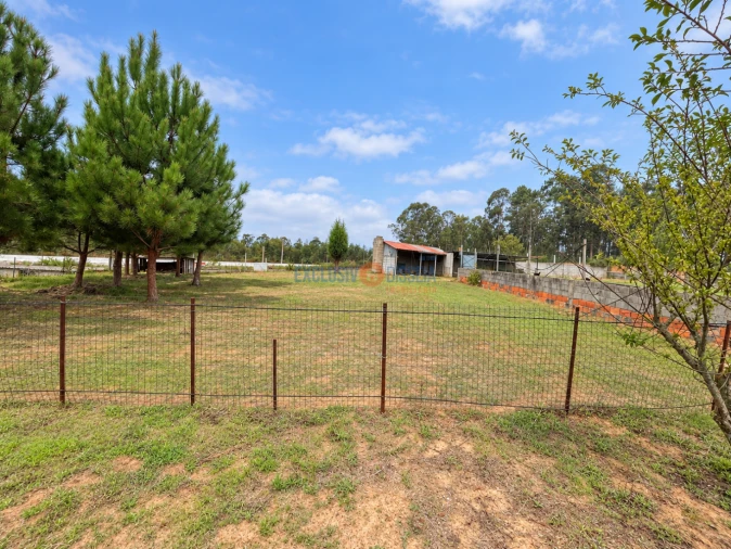 Terreno para Venda em Recardães e Espinhel Foto 3