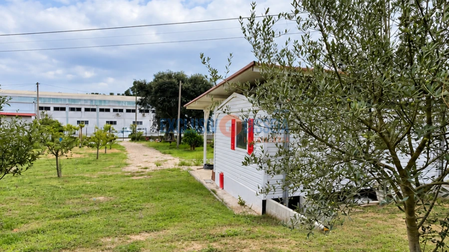 Terreno para Venda em Recardães e Espinhel