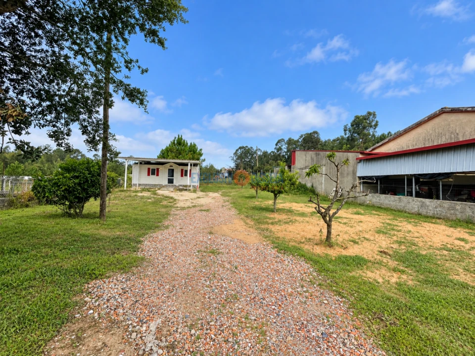 Terreno para Venda em Recardães e Espinhel Foto 5