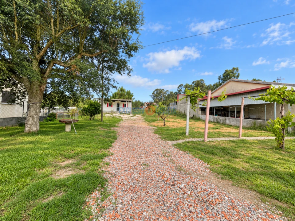 Terreno para Venda em Recardães e Espinhel Foto 10