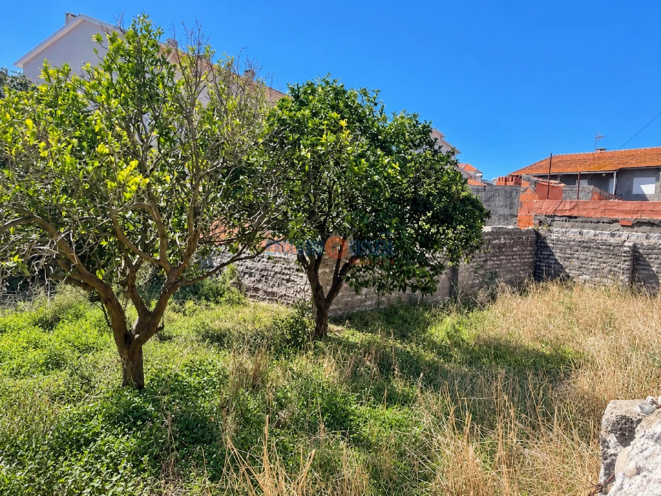 Terreno para Venda em Gafanha da Nazaré Foto 8