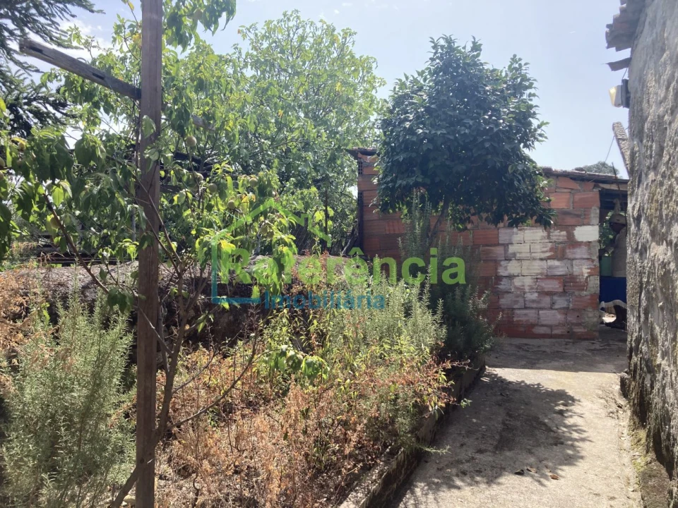 Moradia T4 para Venda em Santa Maria Maior Foto 23