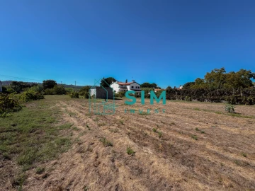 Terreno para Venda em São Miguel do Rio Torto e Rossio Ao Sul do Tejo