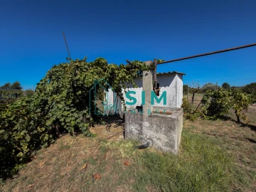 Terreno para Venda em São Miguel do Rio Torto e Rossio Ao Sul do Tejo