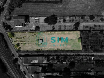 Terreno para Venda em São Miguel do Rio Torto e Rossio Ao Sul do Tejo