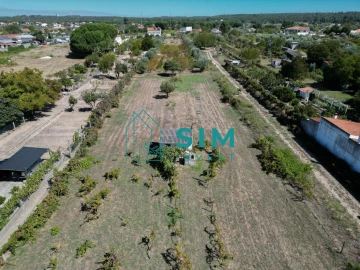 Terreno para Venda em São Miguel do Rio Torto e Rossio Ao Sul do Tejo