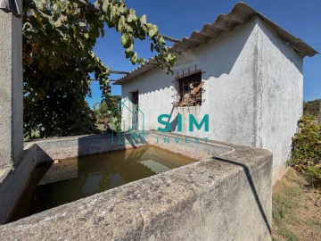 Terreno para Venda em São Miguel do Rio Torto e Rossio Ao Sul do Tejo
