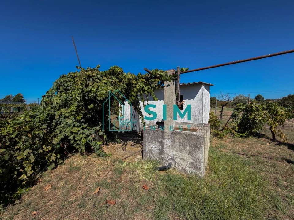 Terreno para Venda em São Miguel do Rio Torto e Rossio Ao Sul do Tejo Foto 2