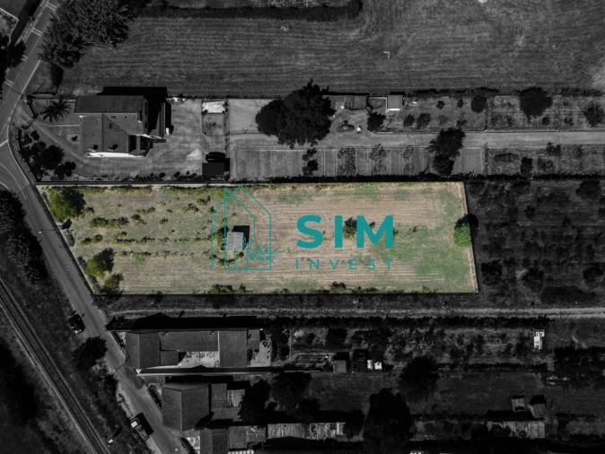 Terreno para Venda em São Miguel do Rio Torto e Rossio Ao Sul do Tejo Foto 5