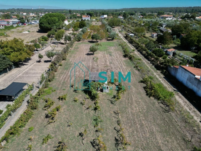 Terreno para Venda em São Miguel do Rio Torto e Rossio Ao Sul do Tejo Foto 7