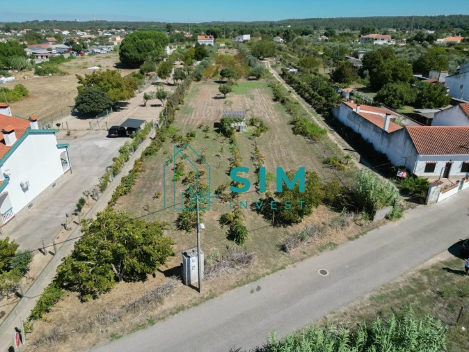 Terreno para Venda em São Miguel do Rio Torto e Rossio Ao Sul do Tejo Foto 6
