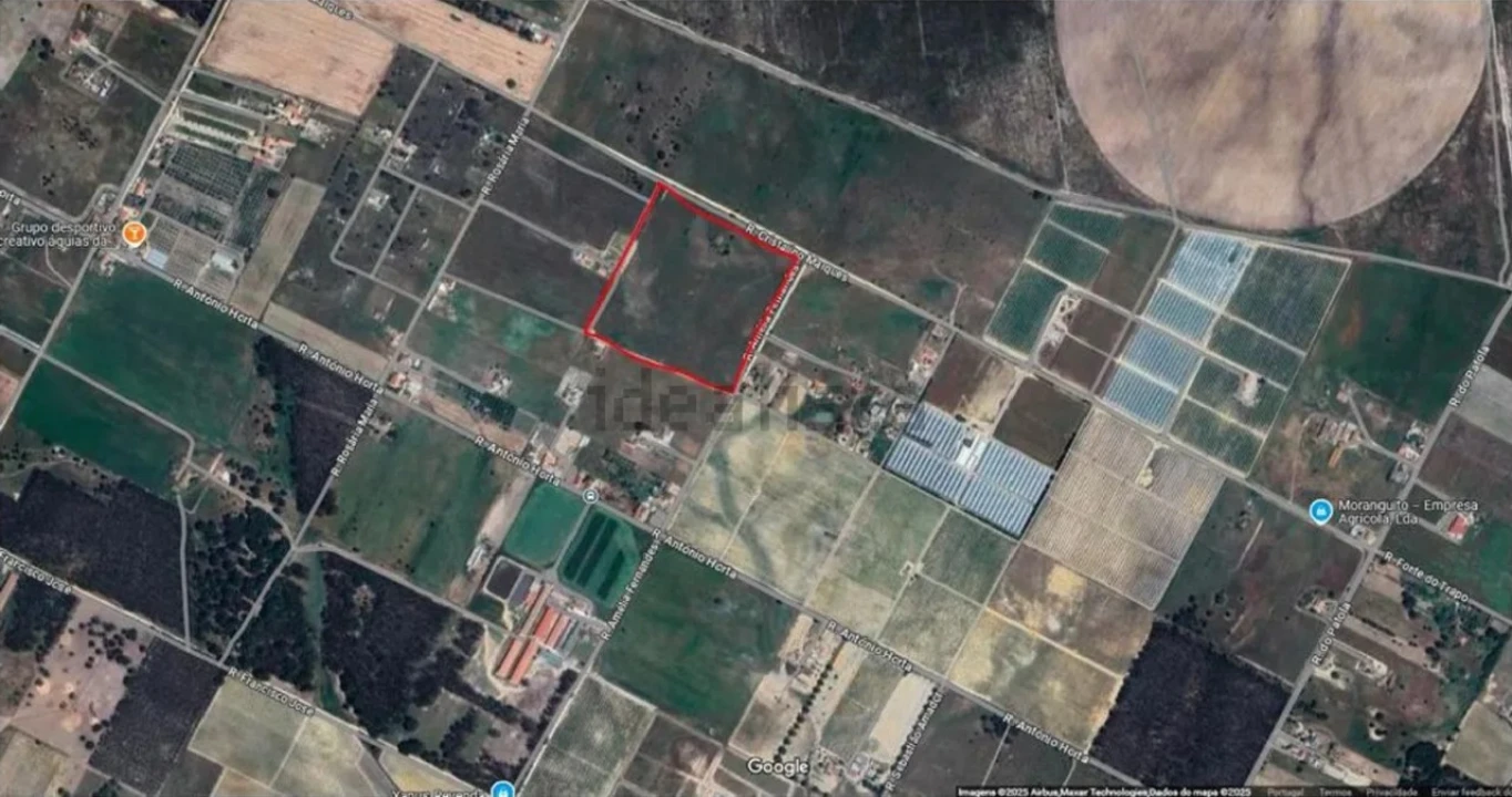 Terreno Agricola ou Rústico para Venda em Poceirão e Marateca Foto 2