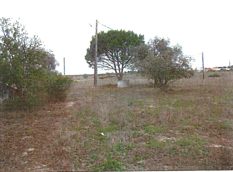 Terreno Agricola ou Rústico para Venda em Poceirão e Marateca Foto 3