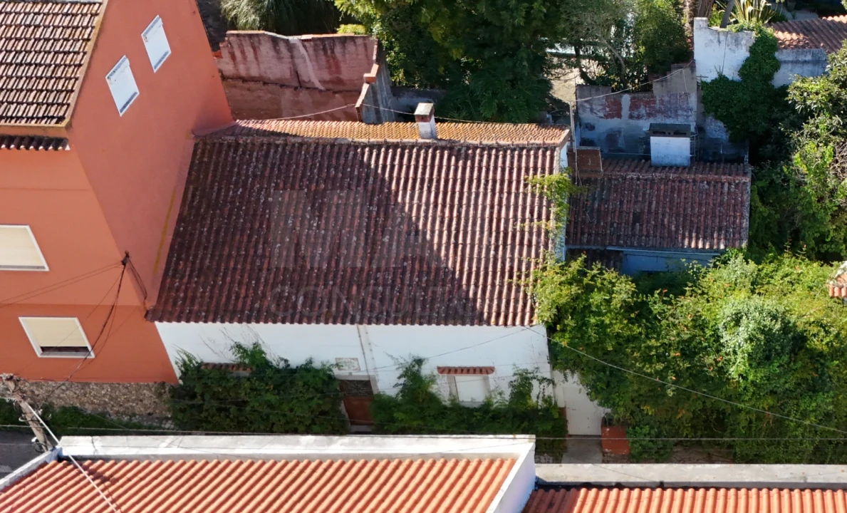 Moradia T6 para Venda em Lourinhã e Atalaia Foto 3