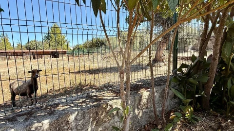 Armazém para Venda em Póvoa de Rio de Moinhos e Cafede
