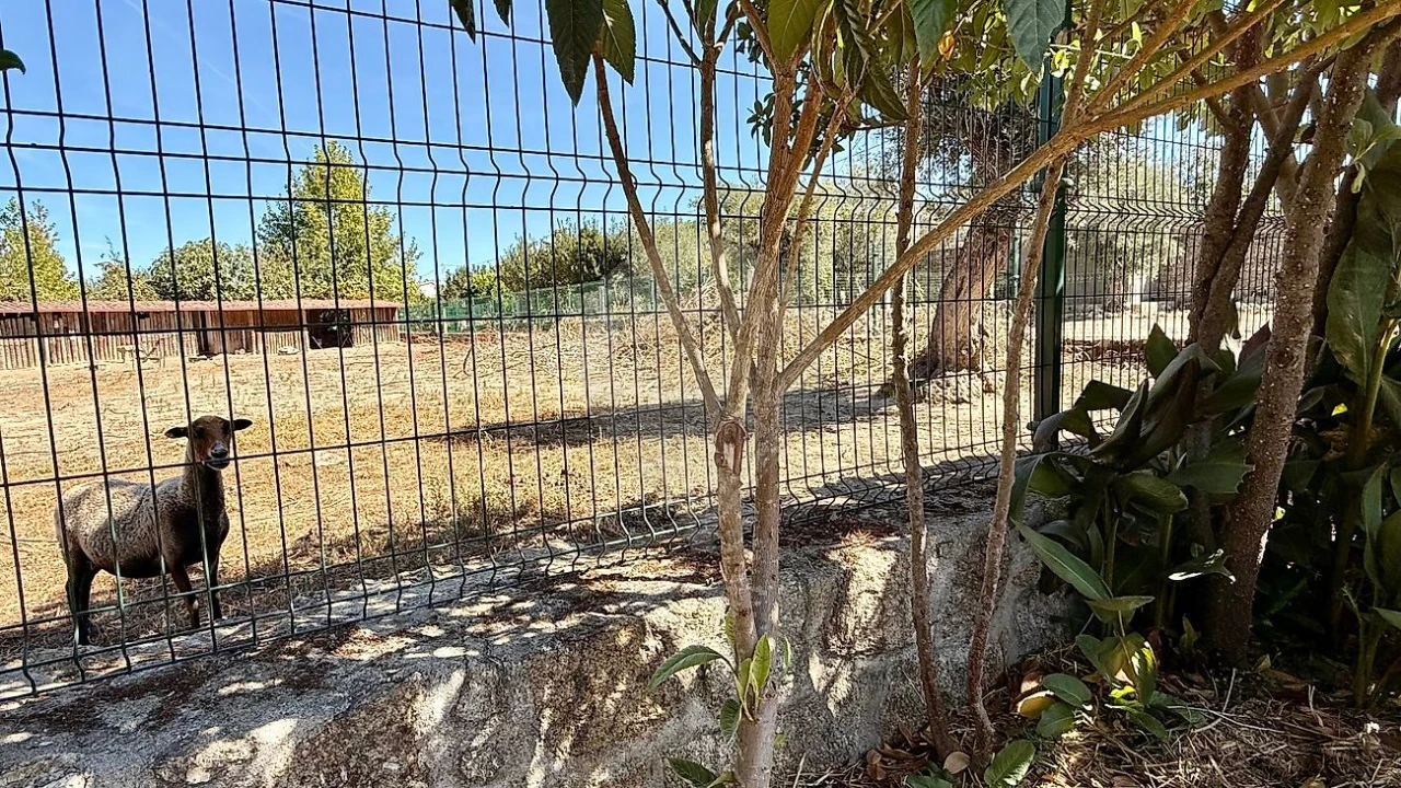 Quinta T5 para Venda em Póvoa de Rio de Moinhos e Cafede Foto 32