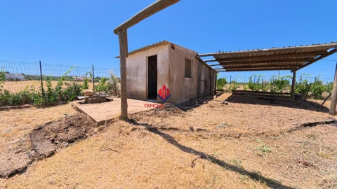 Terreno Agricola ou Rústico para Venda em Porches