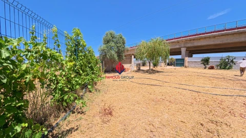 Terreno Agricola ou Rústico para Venda em Porches