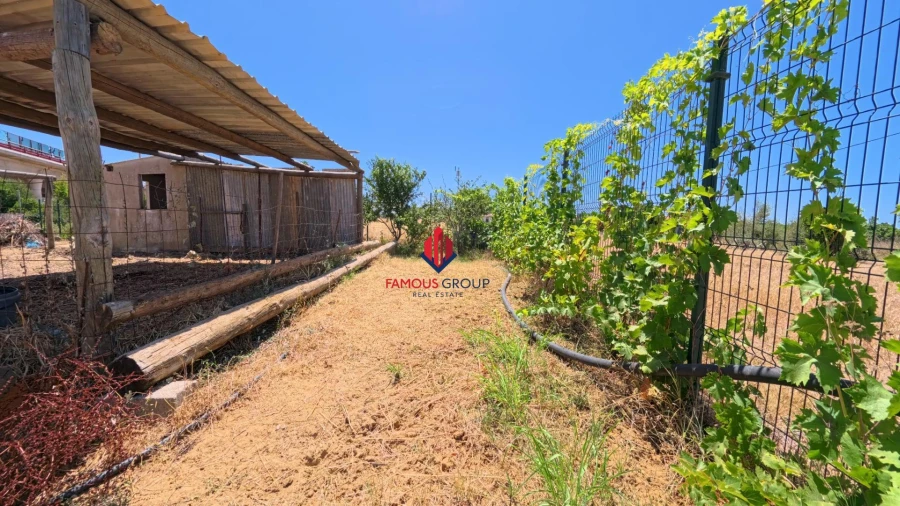 Terreno Agricola ou Rústico para Venda em Porches Foto 5