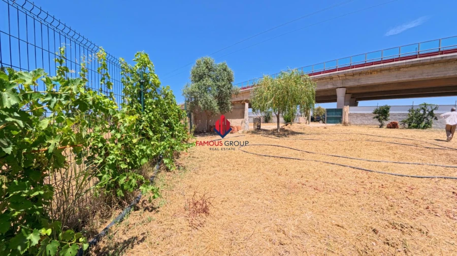 Terreno Agricola ou Rústico para Venda em Porches Foto 6
