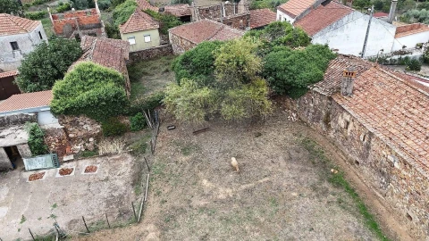Moradia T1 para Venda em Carapinha