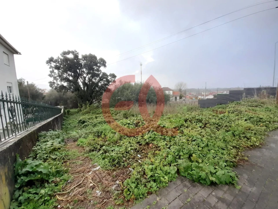Terreno para Venda em Darque Foto 1